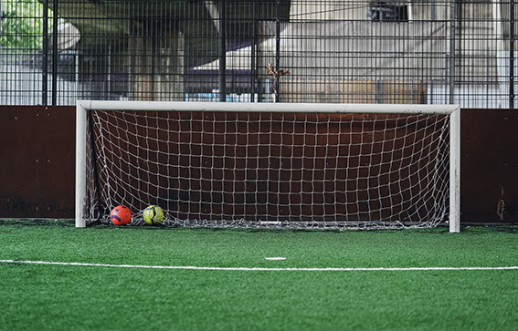 Two footballs in a net