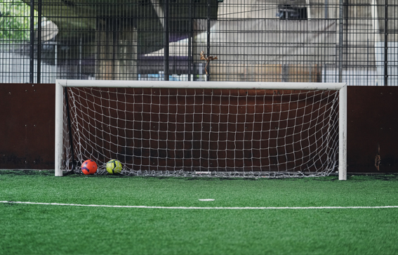 Balls in a net